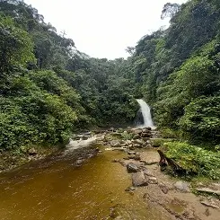 Catarata Gallito de las Rocas Pampa Hermosa selva peruana Satipo Junin Peru