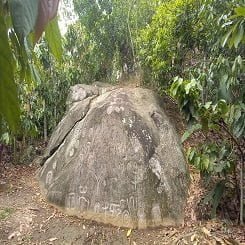 Petroglifos de Huanacaure Satipo selva peruana Satipo Junin Peru